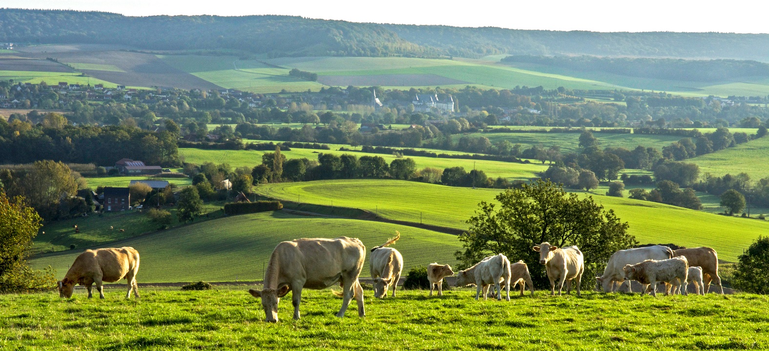 Mesnières en Bray